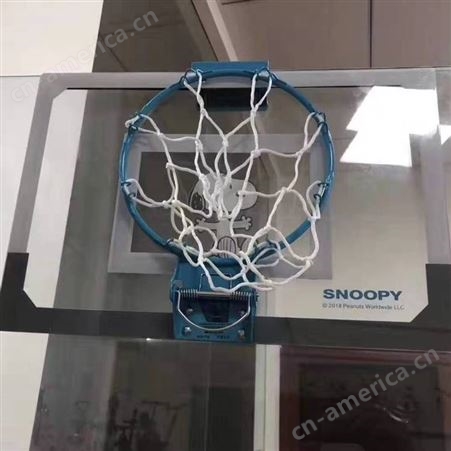 足不出户就可以陪孩子锻炼身体 儿童壁挂式篮球板篮球架篮球框 全套供应 直销批发零售 送篮球打气筒