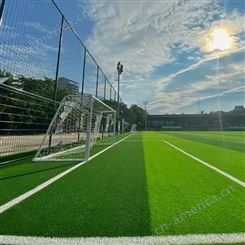人造草坪足球场-重庆足球场人造草-拓力-厂家定制