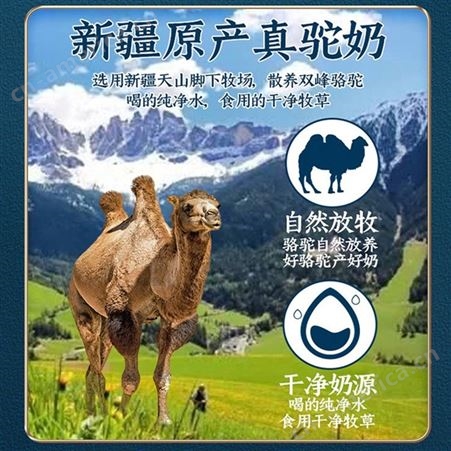 益生菌配方骆驼奶粉新疆产孕妇可食用多维生素营养补充