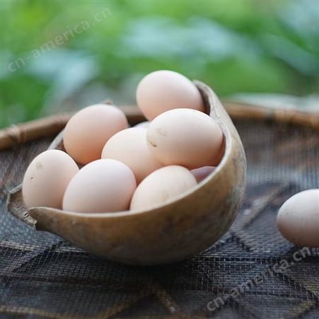 沈粮蛋业的鲜鸡蛋礼盒30枚装团购优惠批发