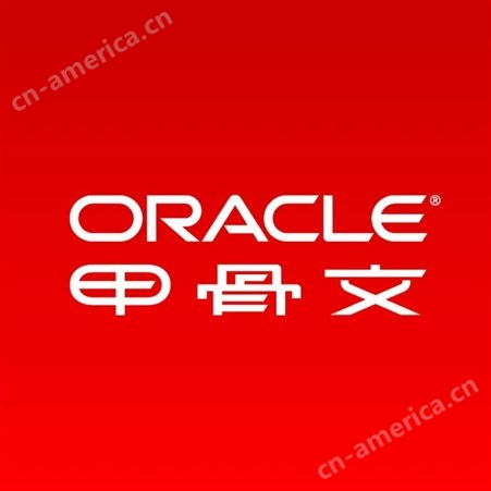甲骨文ORACLE数据库 正版服务器数据库软件 标准版