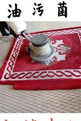 定制清洗服务 海淀地毯沙发免拆清洁 售后完善 资质齐全