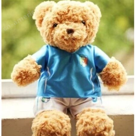 穿衣熊定做 穿衣熊生产商 宏源玩具 来图来样穿衣熊服务商