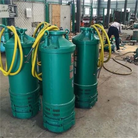 BQS15-20-1.5 矿用隔爆型排污排沙潜水电泵 密封可靠性 使用寿命长