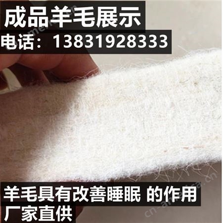 毛毡加厚床垫 褥子 防滑可折叠 榻榻米 可加工定制